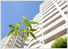 不動産仲介・コンサルティング業務